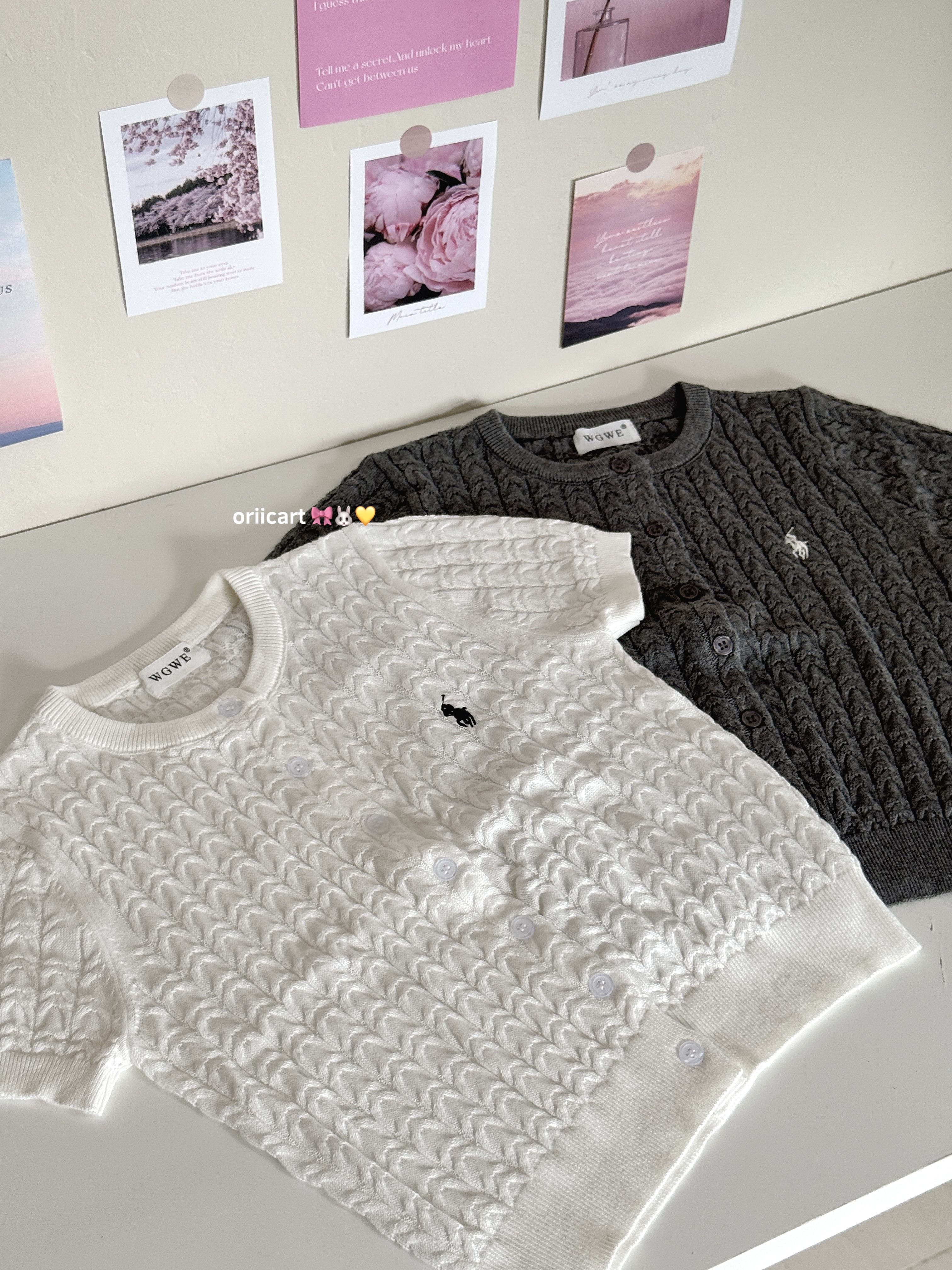 Embroidery Button Front Knit Short Sleeve Top